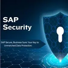SAP Security